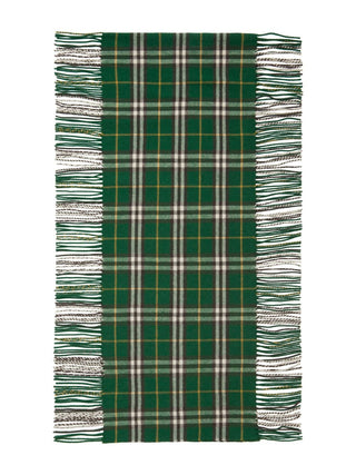 Burberry Scarfs Green