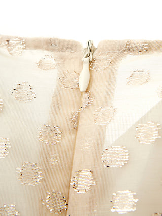 Ivory Elegance: Embellished Tulle Dress