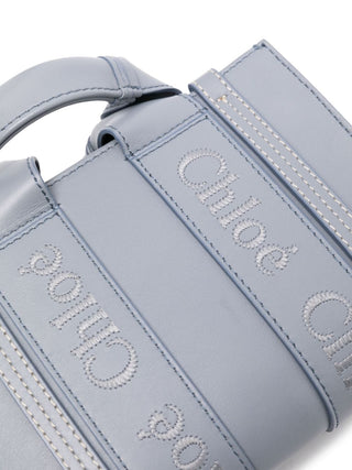 Chloè Bags.. Clear Blue