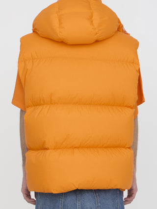 Apus Down Vest